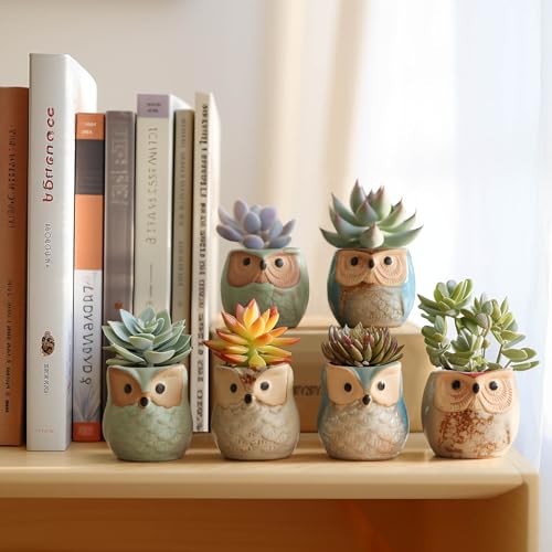 Set of 6 2.5" Owl Ceramic Succulent Planters