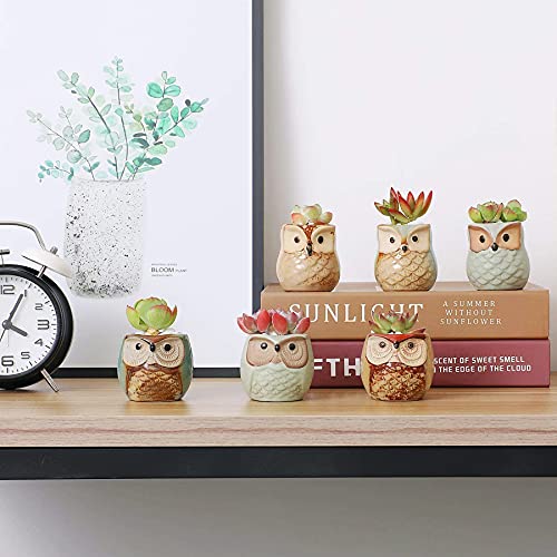 Set of 6 2.5" Owl Ceramic Succulent Planters