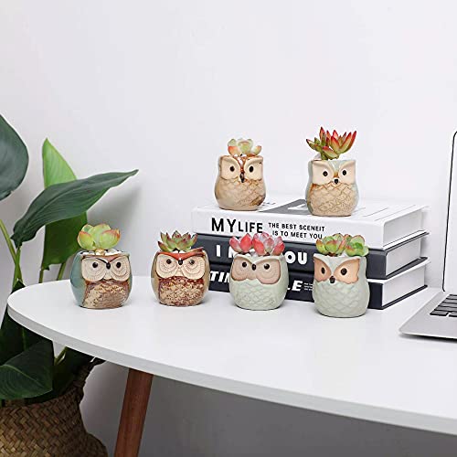 Set of 6 2.5" Owl Ceramic Succulent Planters