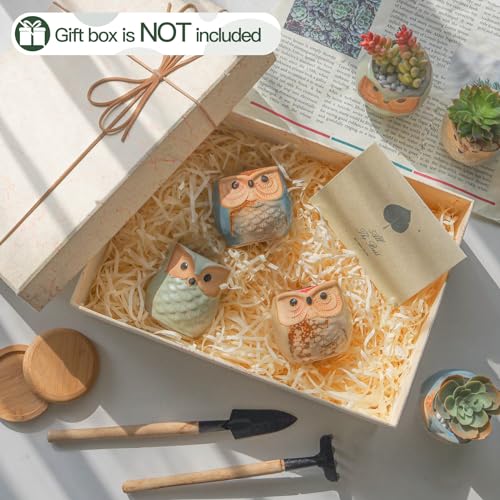 Set of 6 2.5" Owl Ceramic Succulent Planters