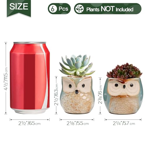 Set of 6 2.5" Owl Ceramic Succulent Planters