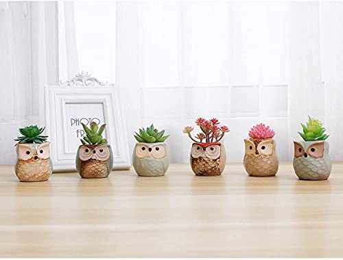 Set of 6 2.5" Owl Ceramic Succulent Planters