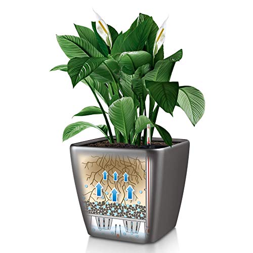 Lechuza Quadro LS 43 Self-Watering White Floor Planter