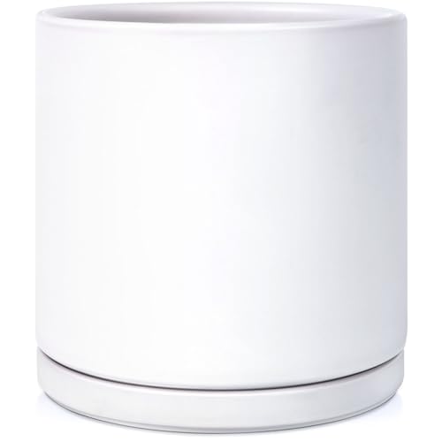 Kazeila 12" Ceramic Planter Pot - Saucer, Drainage - White