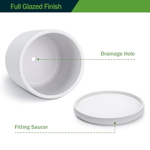 Kazeila 12" Ceramic Planter Pot - Saucer, Drainage - White