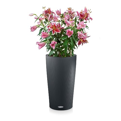 Lechuza CILINDRO Color 32 Self Watering Planter 56cm