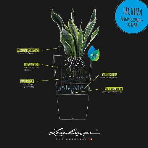 Lechuza CILINDRO Color 32 Self Watering Planter 56cm