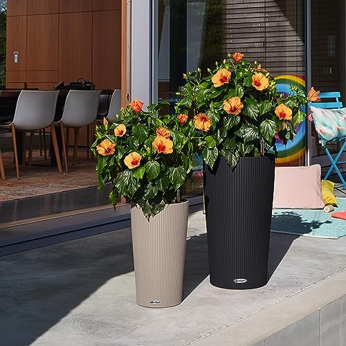 Lechuza CILINDRO Color 32 Self Watering Planter 56cm