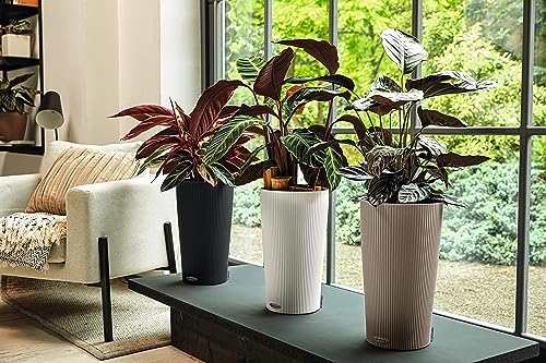 Lechuza CILINDRO Color 32 Self Watering Planter 56cm