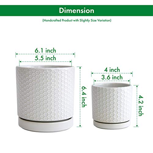 Modern Matte White Honeycomb Ceramic Planter Pots - Set of 2
