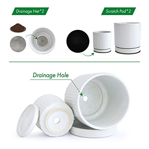 Modern Matte White Honeycomb Ceramic Planter Pots - Set of 2