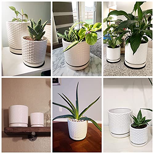 Modern Matte White Honeycomb Ceramic Planter Pots - Set of 2