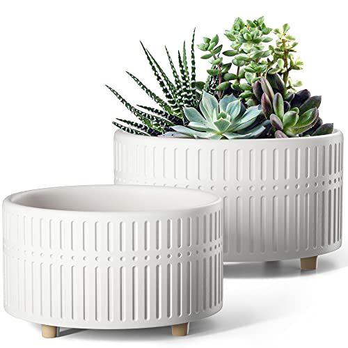 LE TAUCI Succulent 6.5+8 Inch Pot Set, Matte White