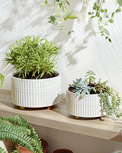 LE TAUCI Succulent 6.5+8 Inch Pot Set, Matte White