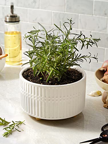 LE TAUCI Succulent 6.5+8 Inch Pot Set, Matte White