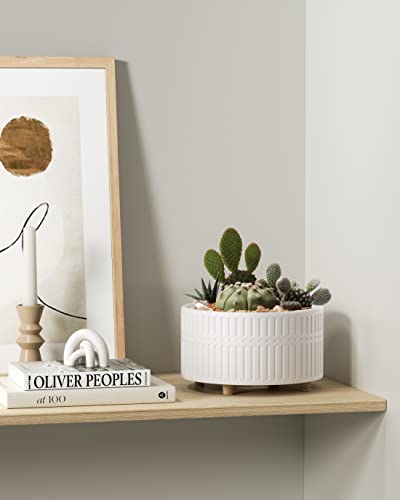 LE TAUCI Succulent 6.5+8 Inch Pot Set, Matte White