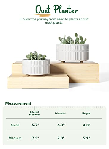LE TAUCI Succulent 6.5+8 Inch Pot Set, Matte White