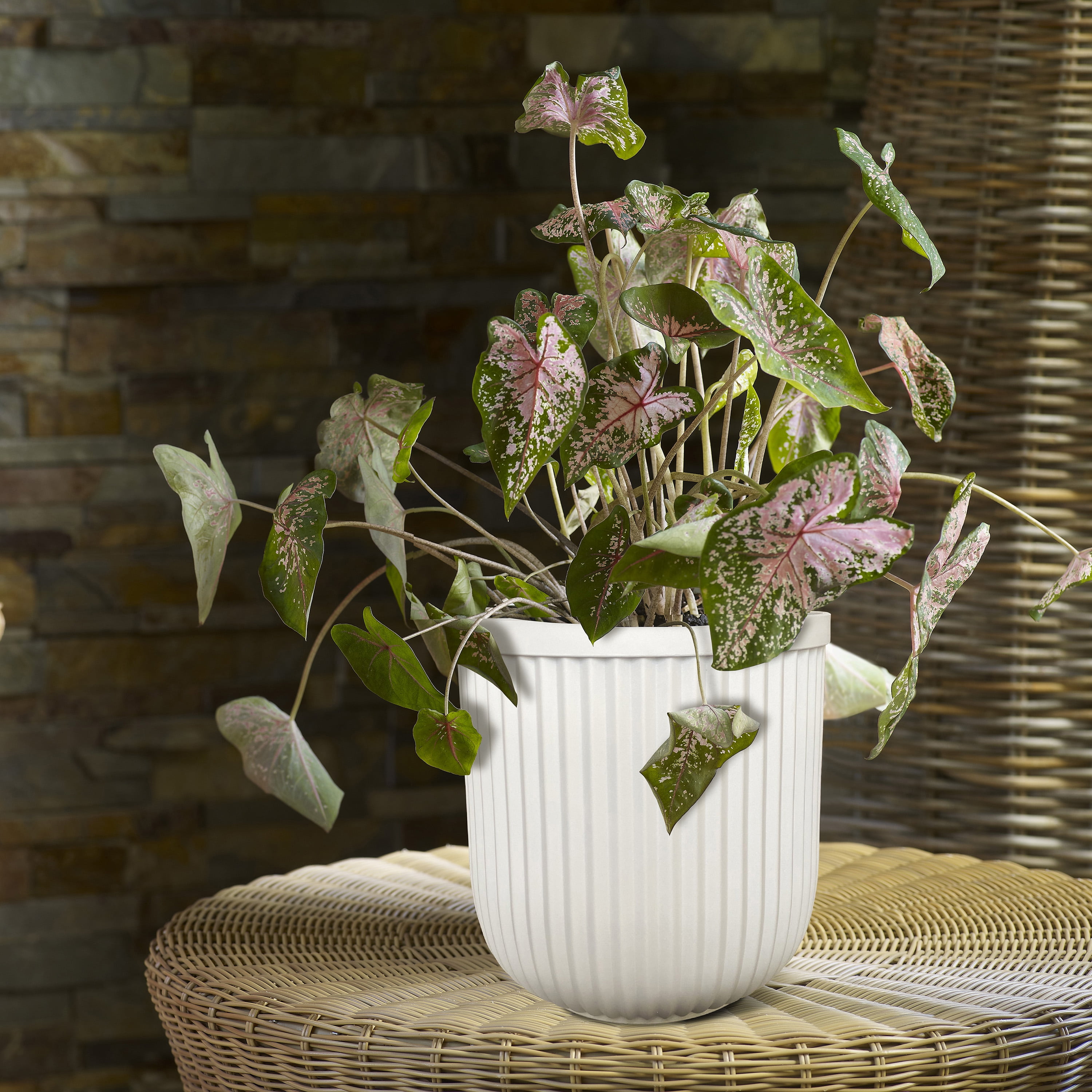 Ellan White Resin Plant Pot for Garden Decor
