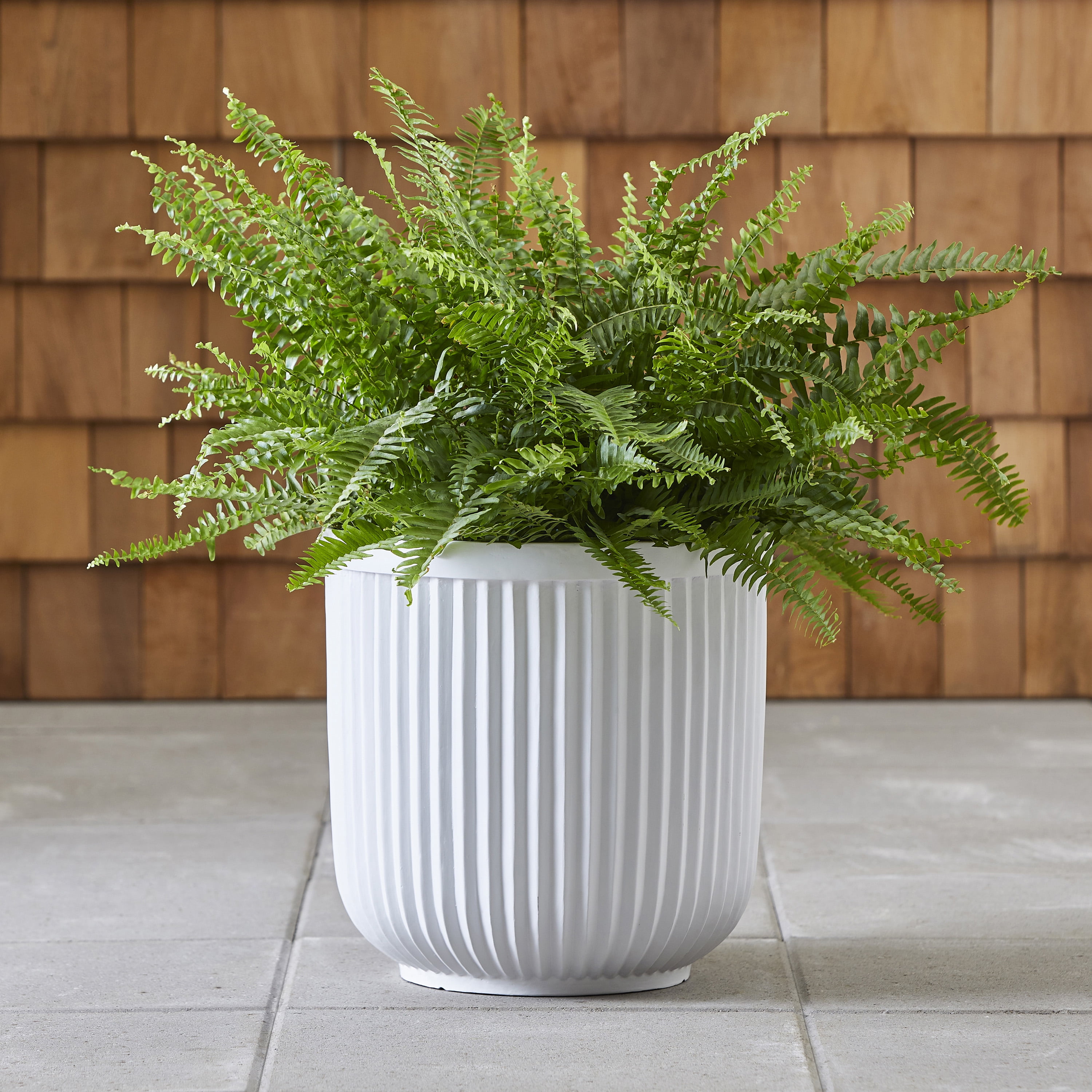 Ellan White Resin Plant Pot for Garden Decor