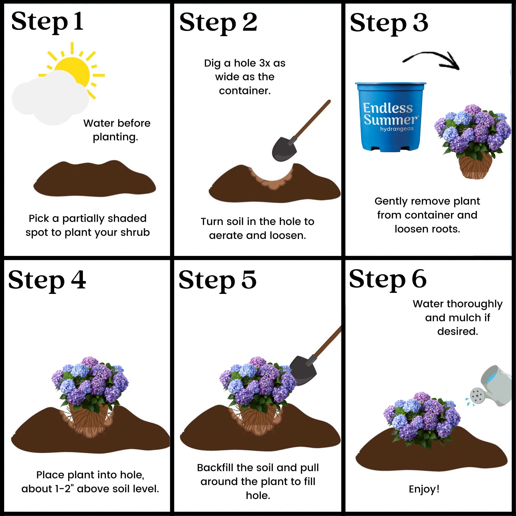 Hydrangea Bloomstruck Live Shrub - Endless Summer (1 Gal)