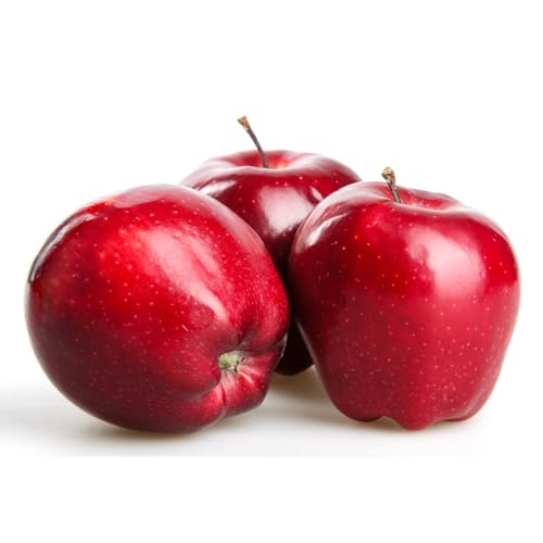 Red Delicious Apple Tree for Home and Garden Decor