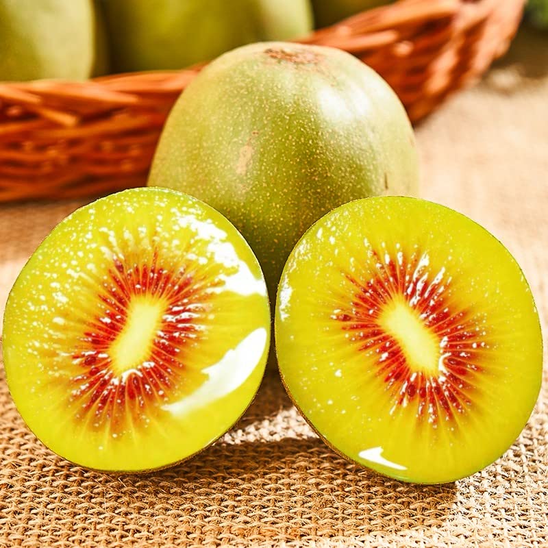 Red Flesh Kiwi Fruit Live Plants - 12 inch