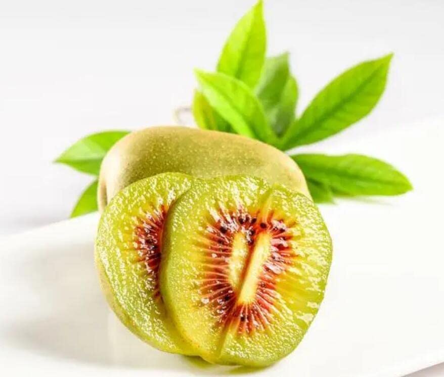 Red Flesh Kiwi Fruit Live Plants - 12 inch