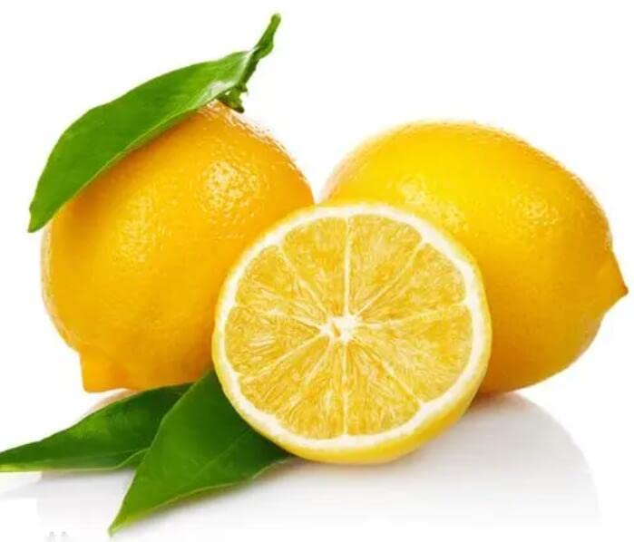 Citron Lemon Tree Starter Plant, 15-17 inch Height