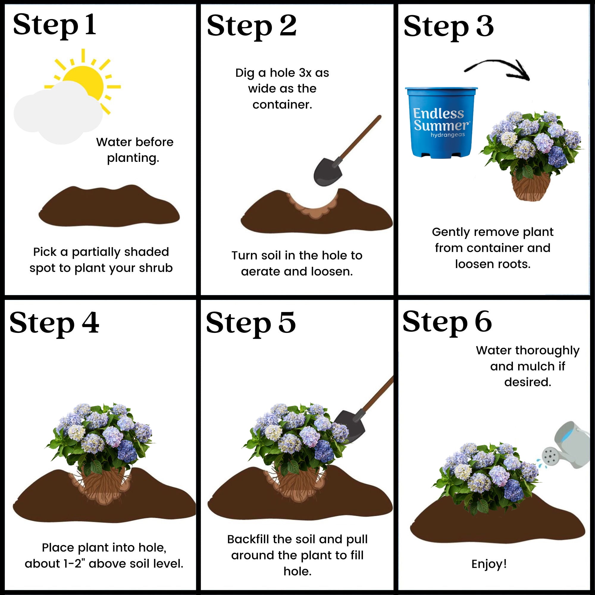 Endless Summer Hydrangea Live Shrub - 1 Gallon