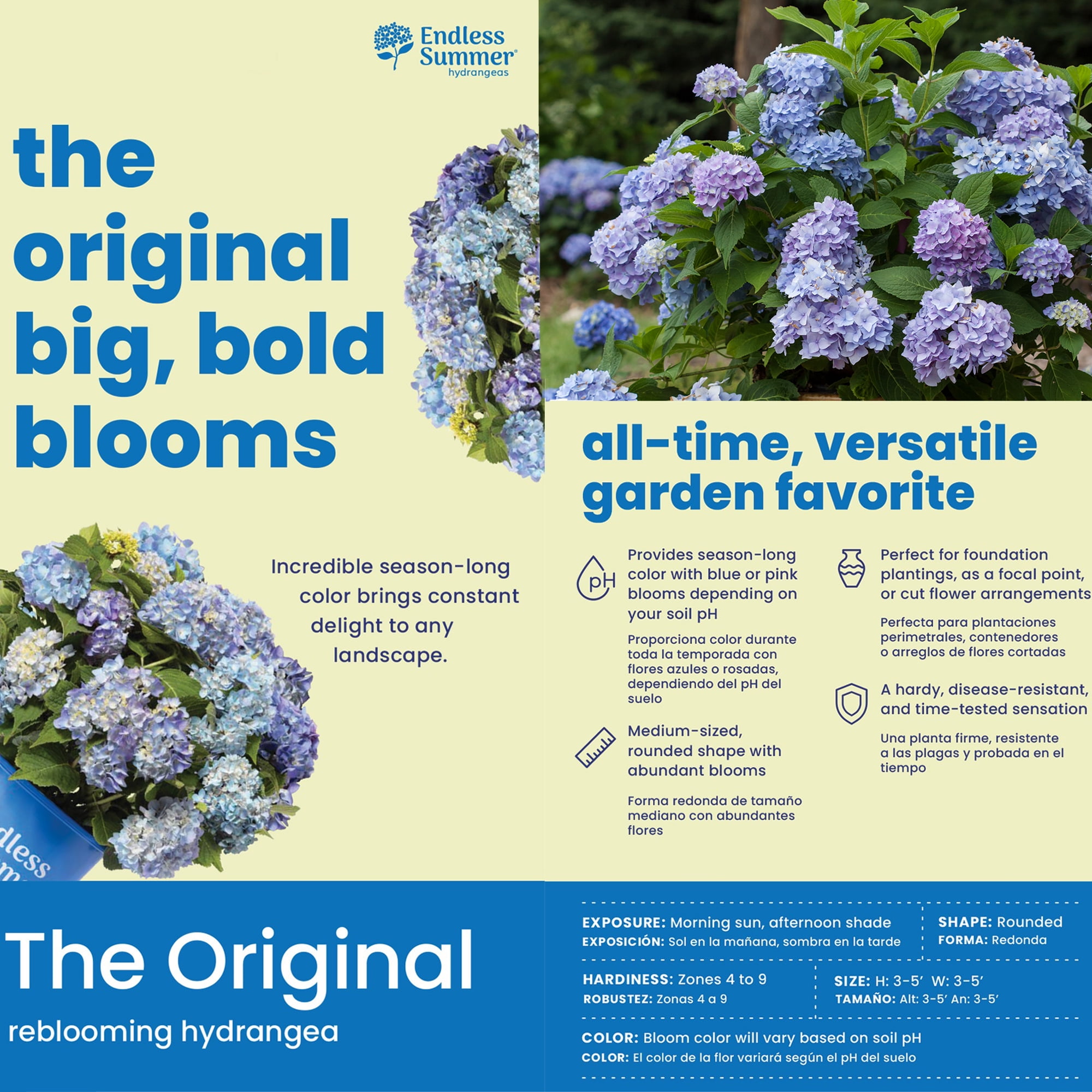 Endless Summer Hydrangea Live Shrub - 1 Gallon