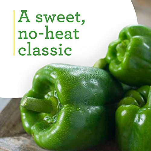 4-Pack Non-GMO Green Bell Pepper Live Plants
