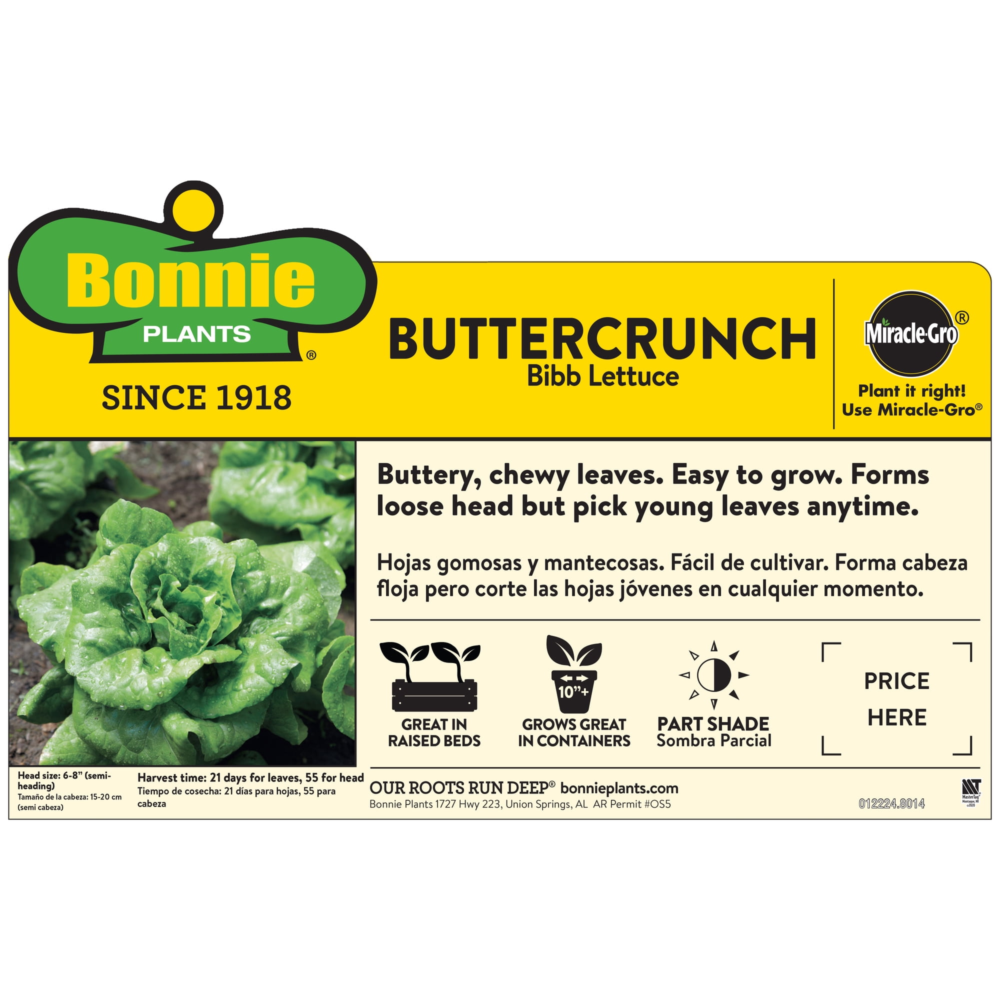 2-Pack Bonnie Plants Buttercrunch Lettuce 19.3 oz