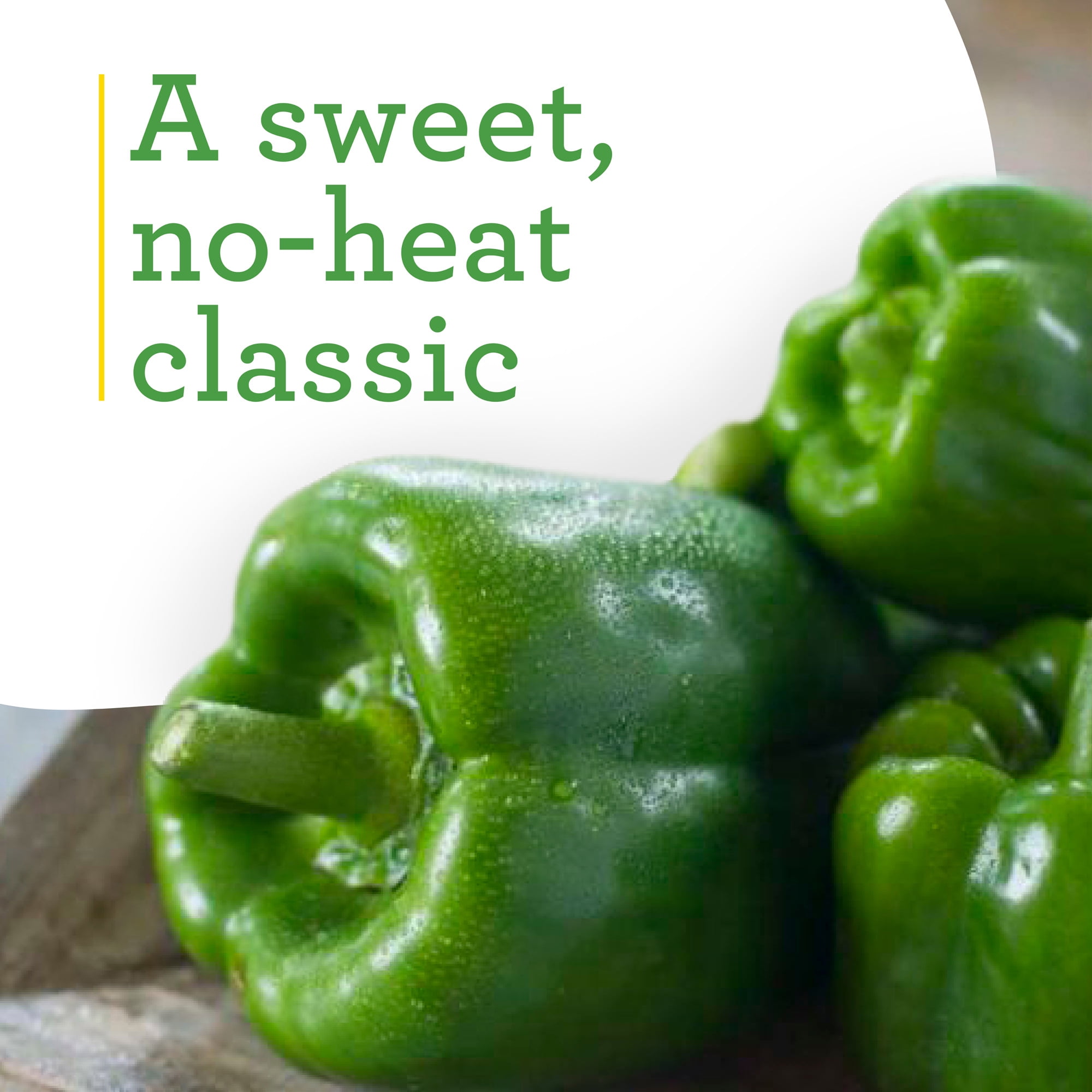 Sweet Green Bell Pepper Plants 2-Pack - 19.3 oz