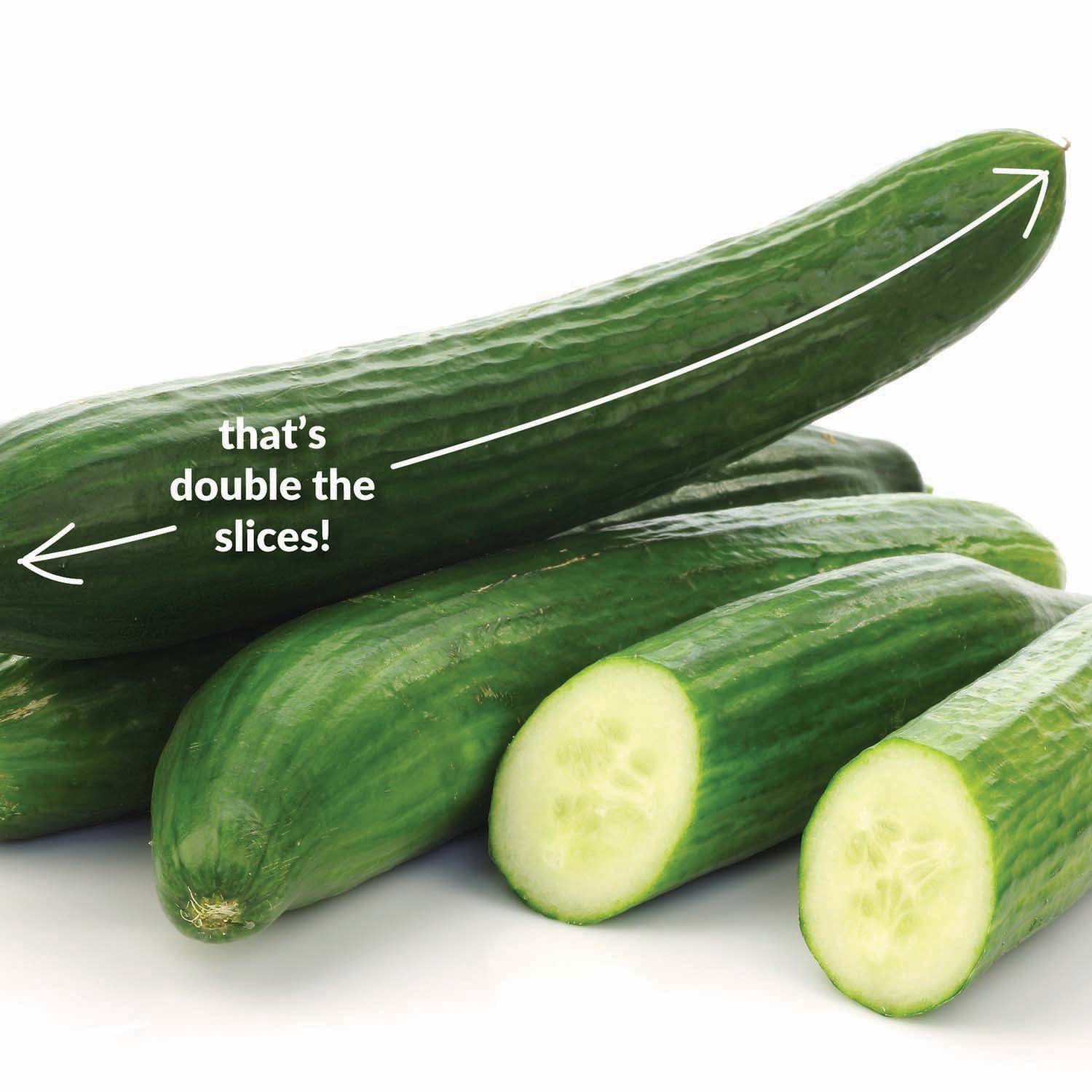 Ferry-Morse Cucumber Big Dill Live Plants (3 Count)