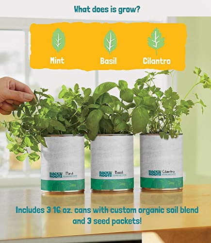 Complete Herb Kit with Basil, Mint, & Cilantro Seeds