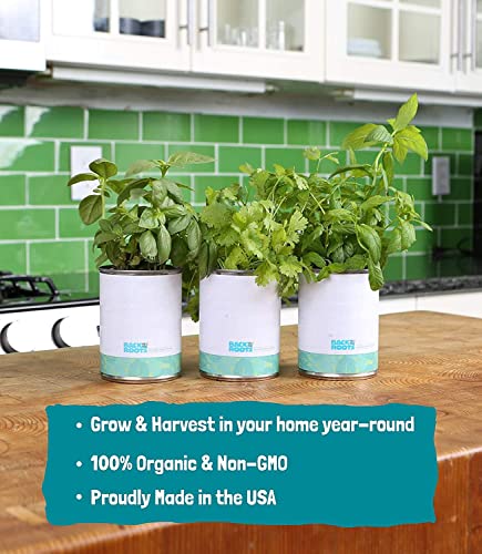 Complete Herb Kit with Basil, Mint, & Cilantro Seeds