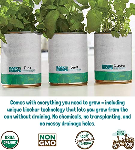 Complete Herb Kit with Basil, Mint, & Cilantro Seeds
