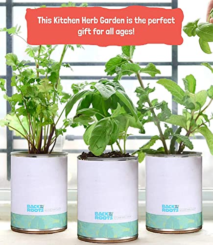 Complete Herb Kit with Basil, Mint, & Cilantro Seeds