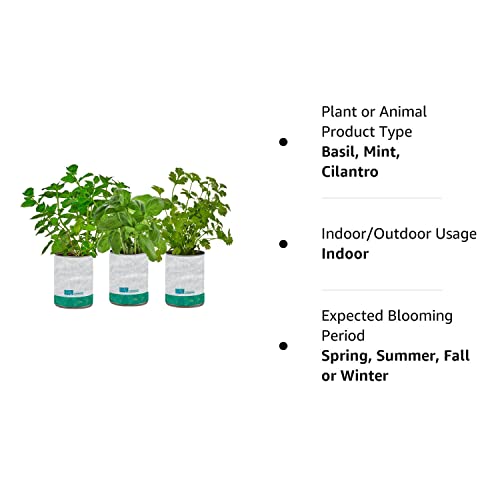Complete Herb Kit with Basil, Mint, & Cilantro Seeds