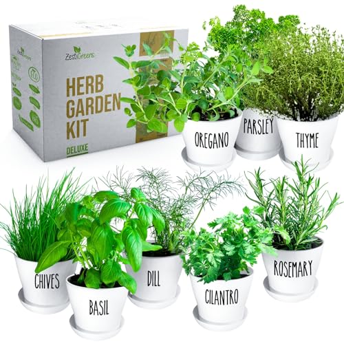 8-Piece Deluxe Herb Garden Set for Indoor & Outdoor