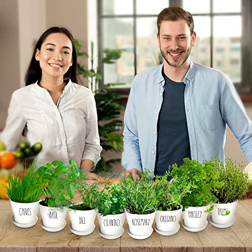 8-Piece Deluxe Herb Garden Set for Indoor & Outdoor