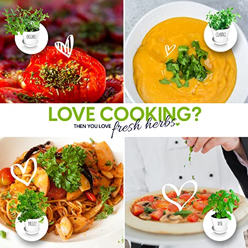 8-Piece Deluxe Herb Garden Set for Indoor & Outdoor