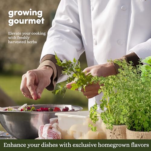 Indoor Window Garden Kit - 9 Herb Houseplants