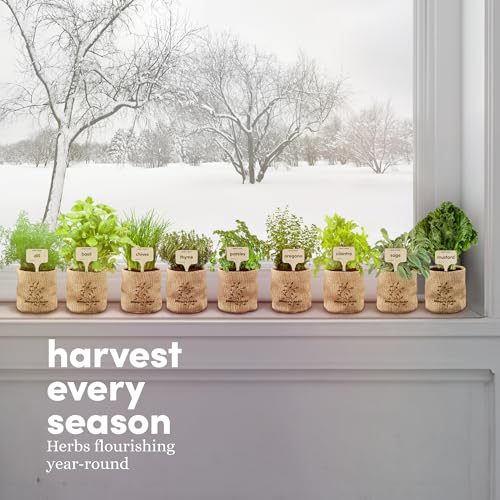 Indoor Window Garden Kit - 9 Herb Houseplants