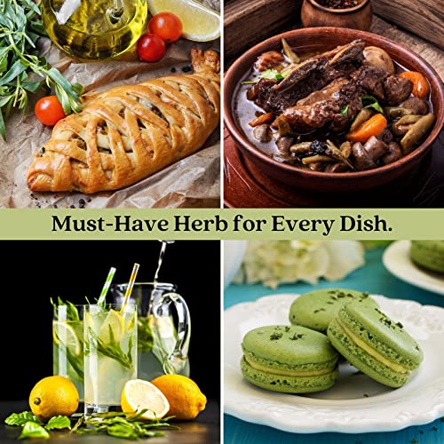 French Tarragon Herb Plants - Two Live Plants