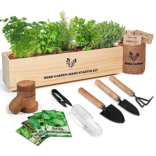 Herb Garden Starter Kit with Wooden Flower Box