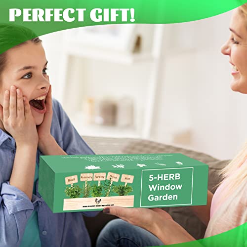 Herb Garden Starter Kit with Wooden Flower Box