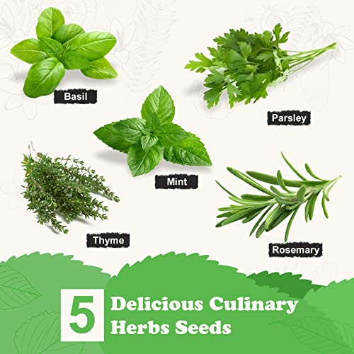 Herb Garden Starter Kit with Wooden Flower Box