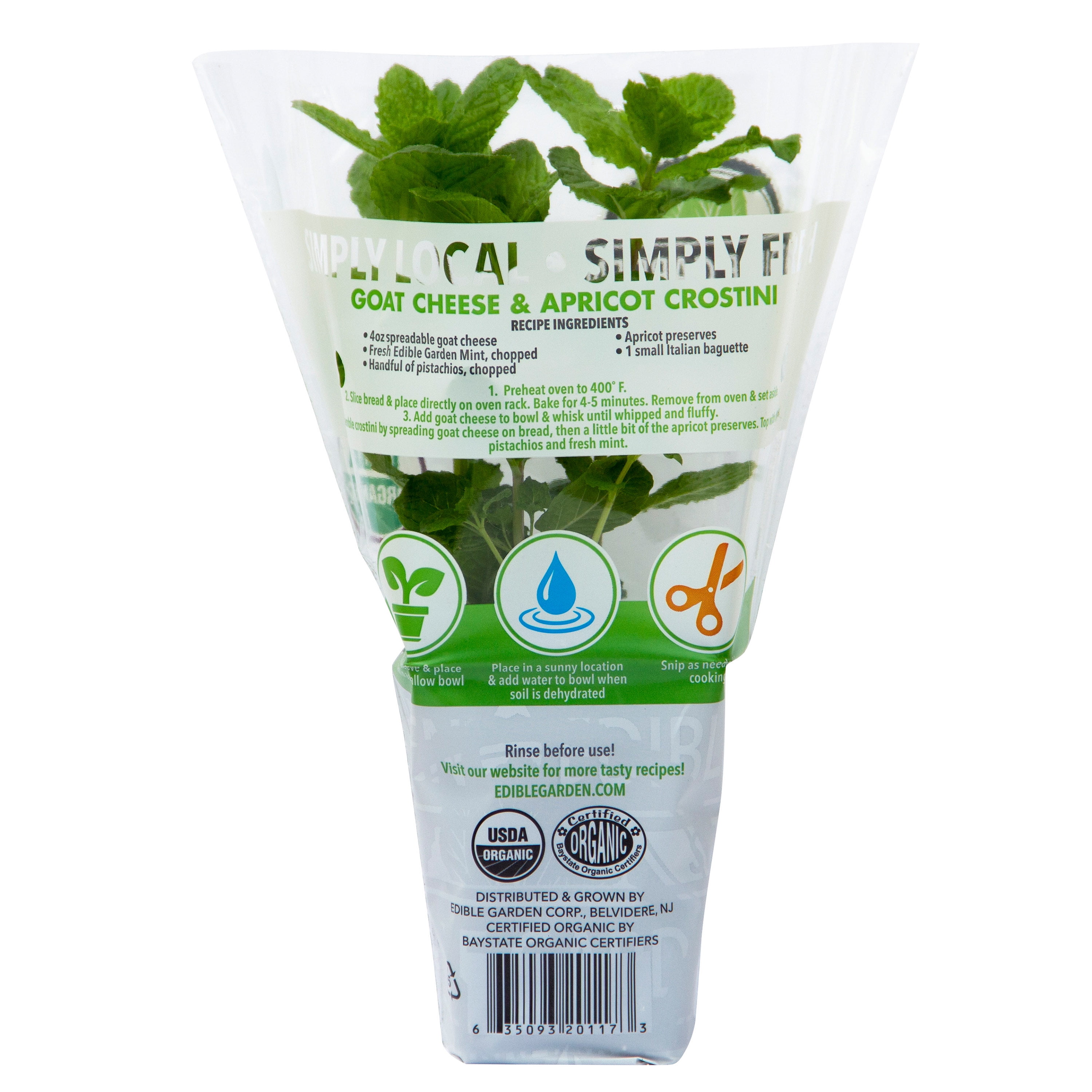 Mint Green Herb Plant in Potted Sprout House