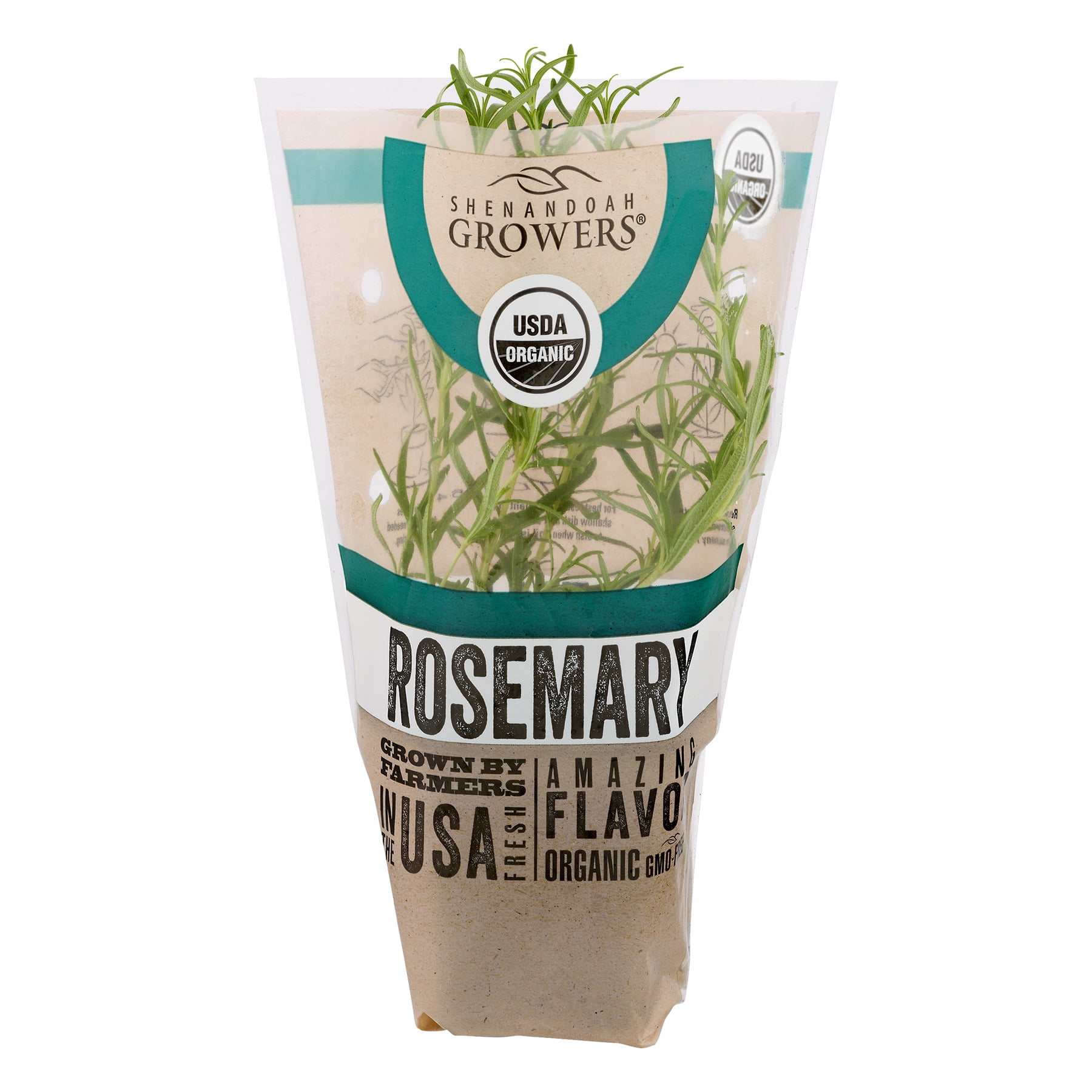 Organic Potted Rosemary Plant - 1 Each